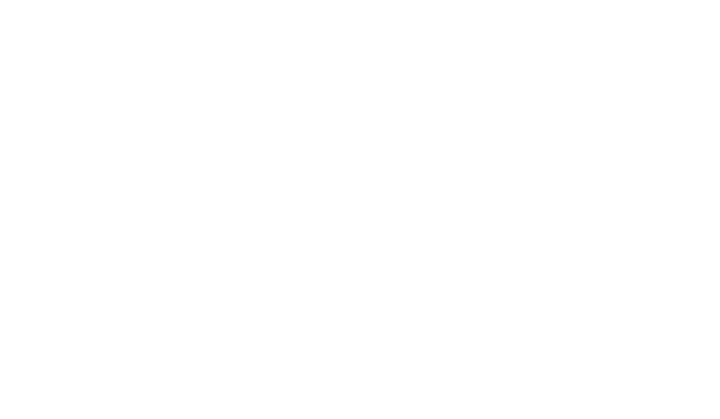 Município de Faro
